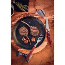 Набор для барбекю TRAMONTINA Barbecue POLYWOOD 12 пр (21199/709)