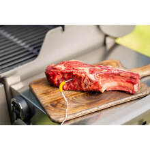 Термощуп WEBER для iGrill Mini, iGrill 2, iGrill 3, Weber Connect (7211)