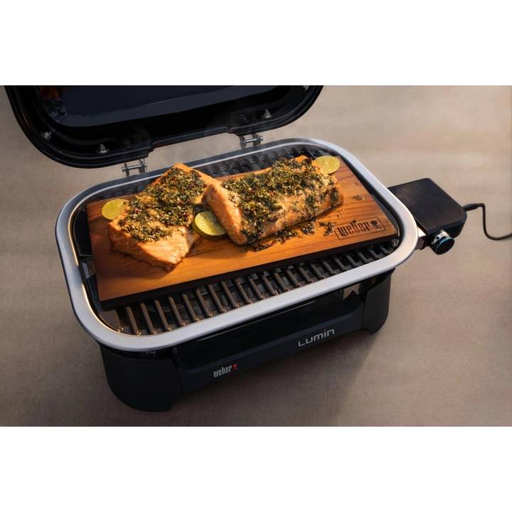 Гриль електричний WEBER Lumin 2000 (92010979) Можливість копчення True