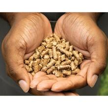 Пеллеты NINJA Woodfire Robust Blend (XSKOGRBPLT2EU)