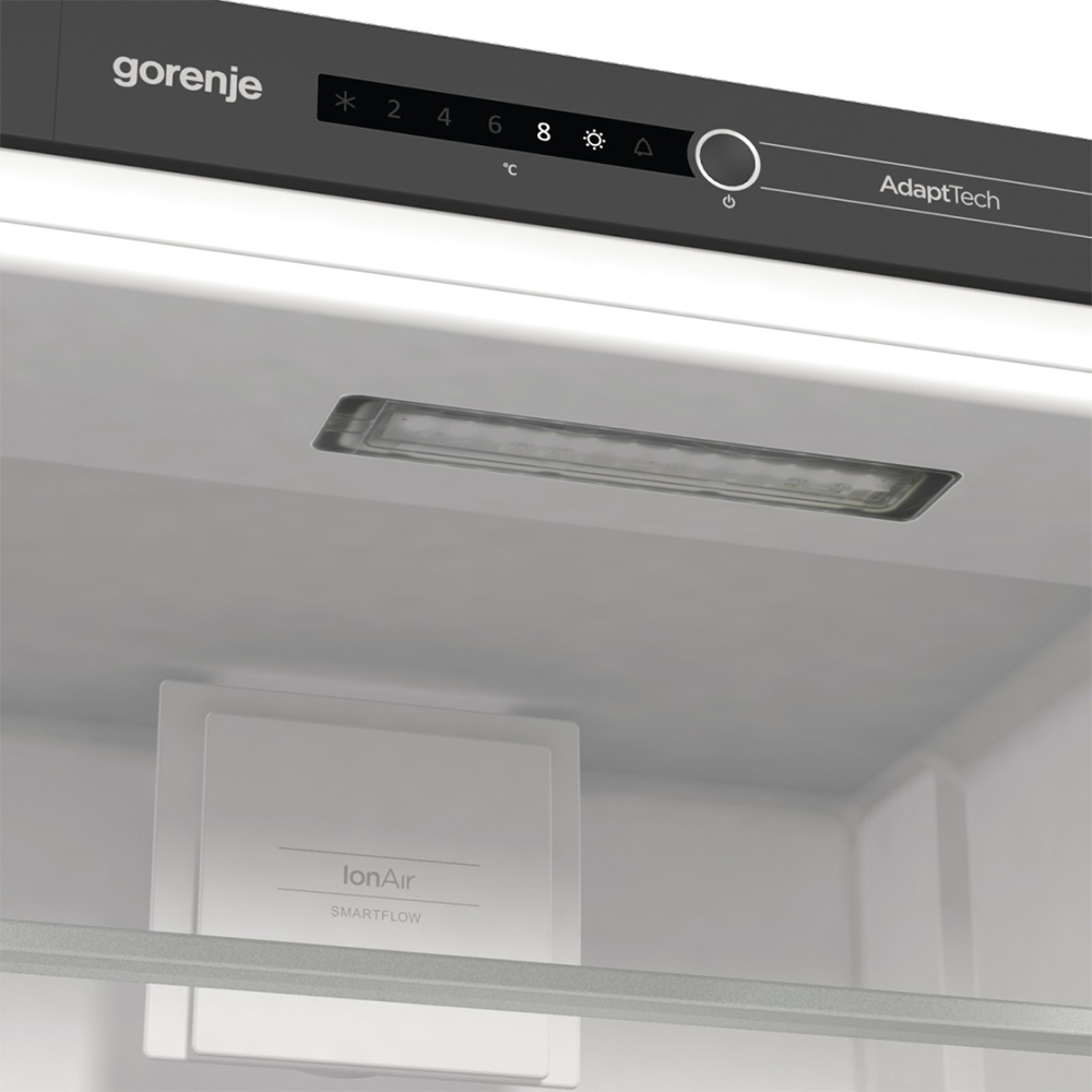 Фото Встраиваемый холодильник GORENJE RI5182A1