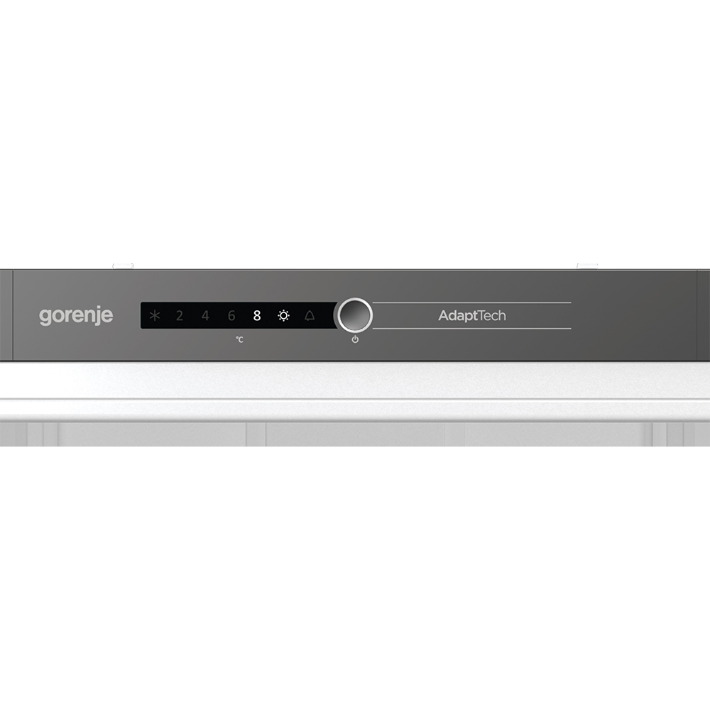 Заказать Встраиваемый холодильник GORENJE RI5182A1