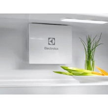 Вбудований холодильник ELECTROLUX ERD6DE18S4