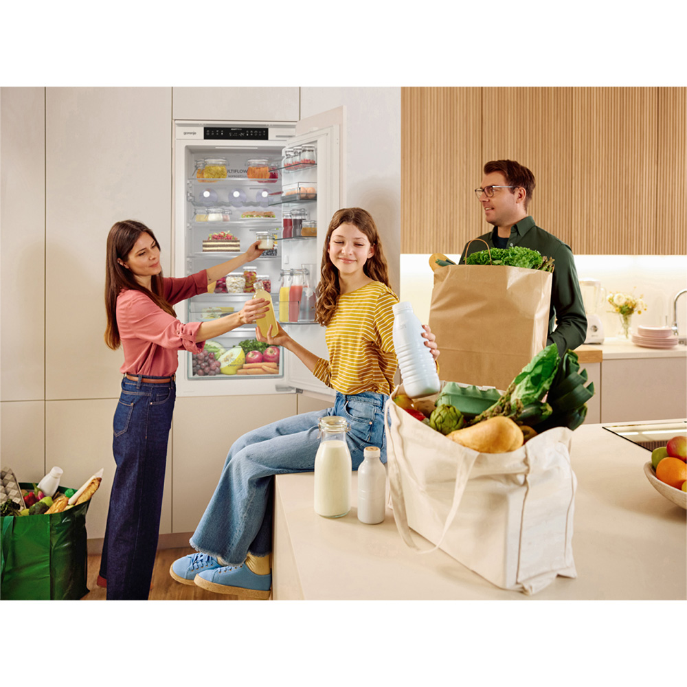 Заказать Встраиваемый холодильник GORENJE NRKI519D61WF