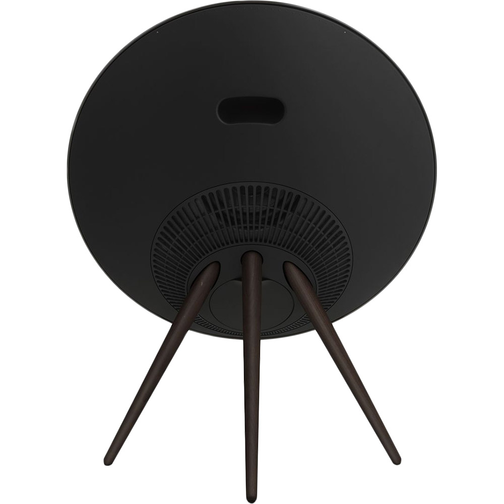 Музичний центр BANG & OLUFSEN Beosound A9 5th Gen Black Anthracite (1200632) Дротові підключення USB-C