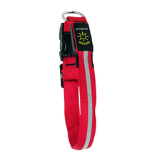 Ошейник светодиодный Nite Dawg Collar M красный