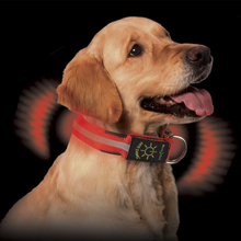 Ошейник светодиодный Nite Dawg Collar M красный