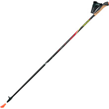 Палки для скандинавской ходьбы GABEL FX-75 Snake Carbon 110 Dual Spike (7008351011100)
