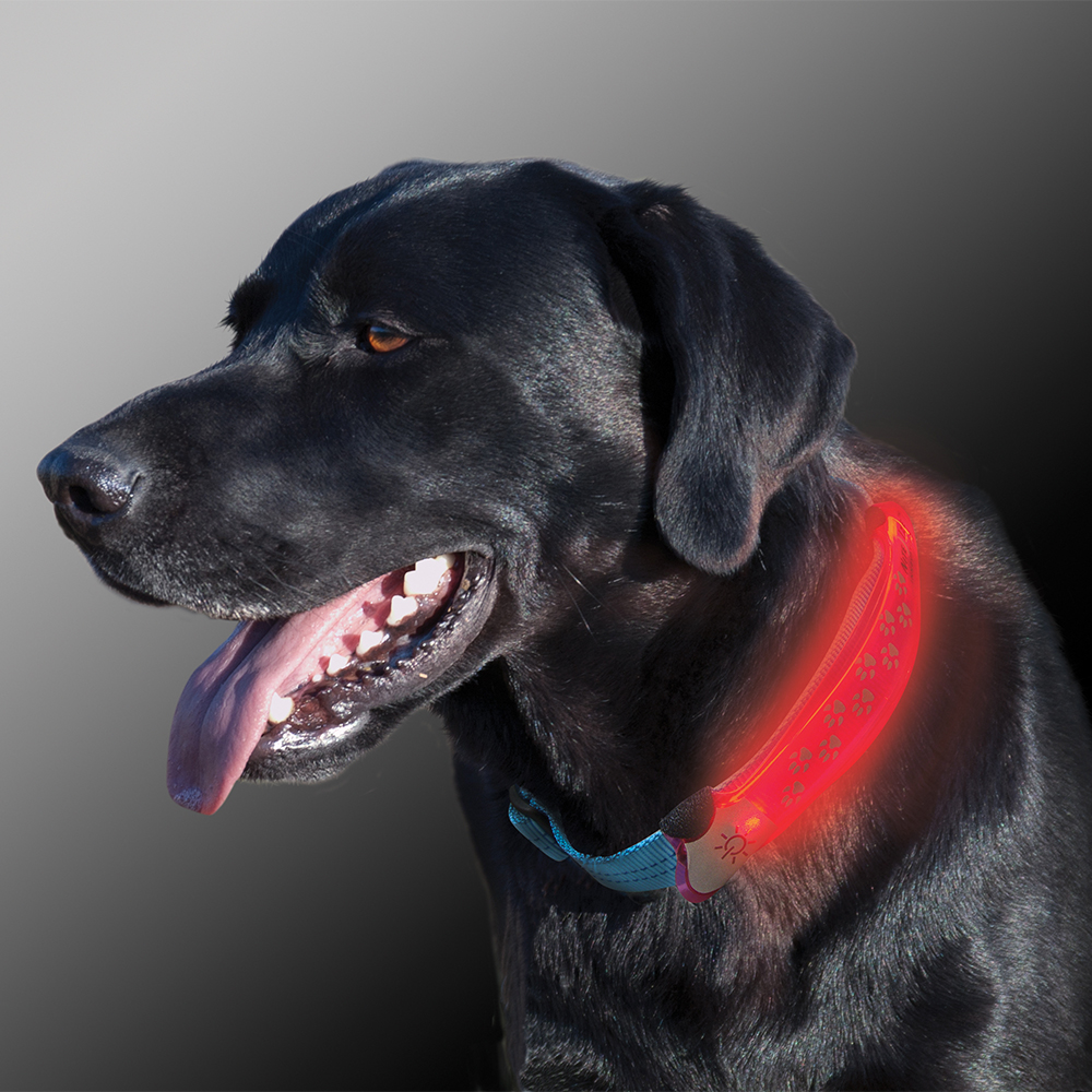 Обложка светодиодная для ошейника Nite Dawg Collar Cover розовый Время работы 100