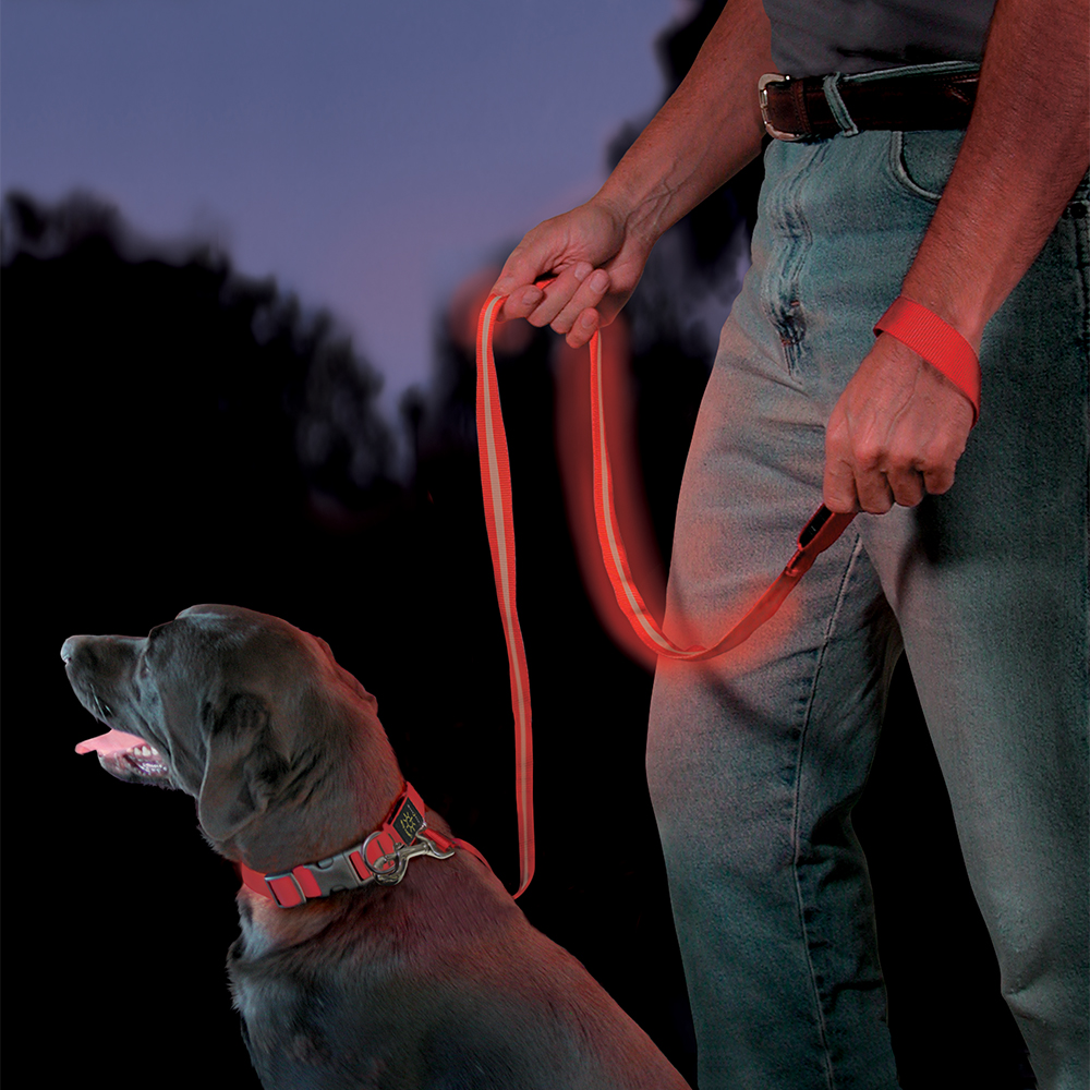 Поводок светодиодный Nite Dawg - LED Pet Leash Время работы 100