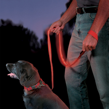 Поводок светодиодный Nite Dawg - LED Pet Leash