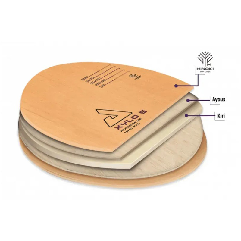 Зовнішній вигляд Підстава для ракетки JOOLA XYLO 5 FL (65080)