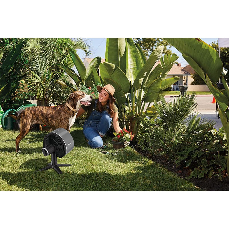 Фото 15 Вентилятор SHARK FlexBreeze FA150EU