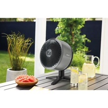 Вентилятор SHARK FlexBreeze FA150EU