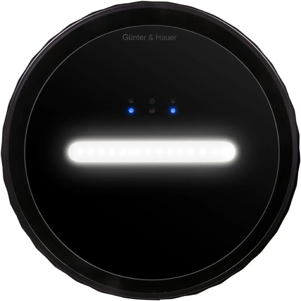 В интернет магазине Вытяжка GUNTER & HAUER MARGARETTE 3D WALL BL