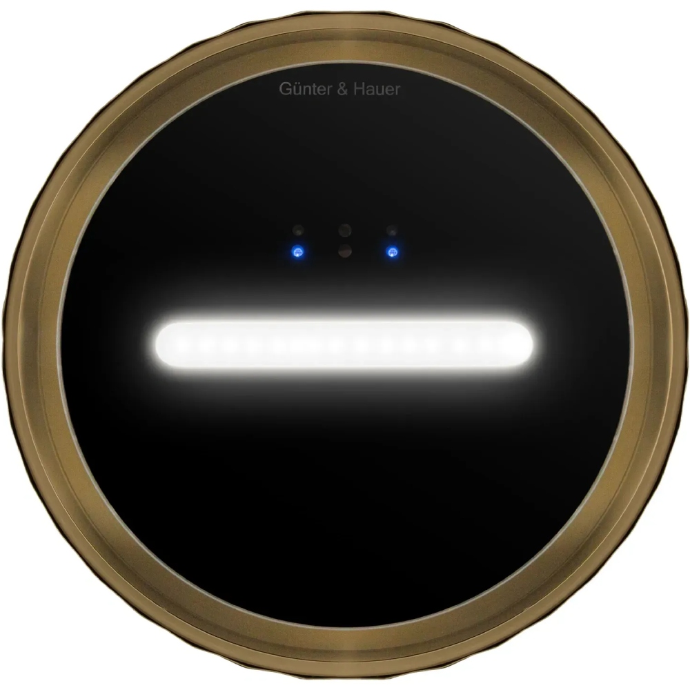 В интернет магазине Вытяжка GUNTER & HAUER MARGARETTE 3D WALL SD