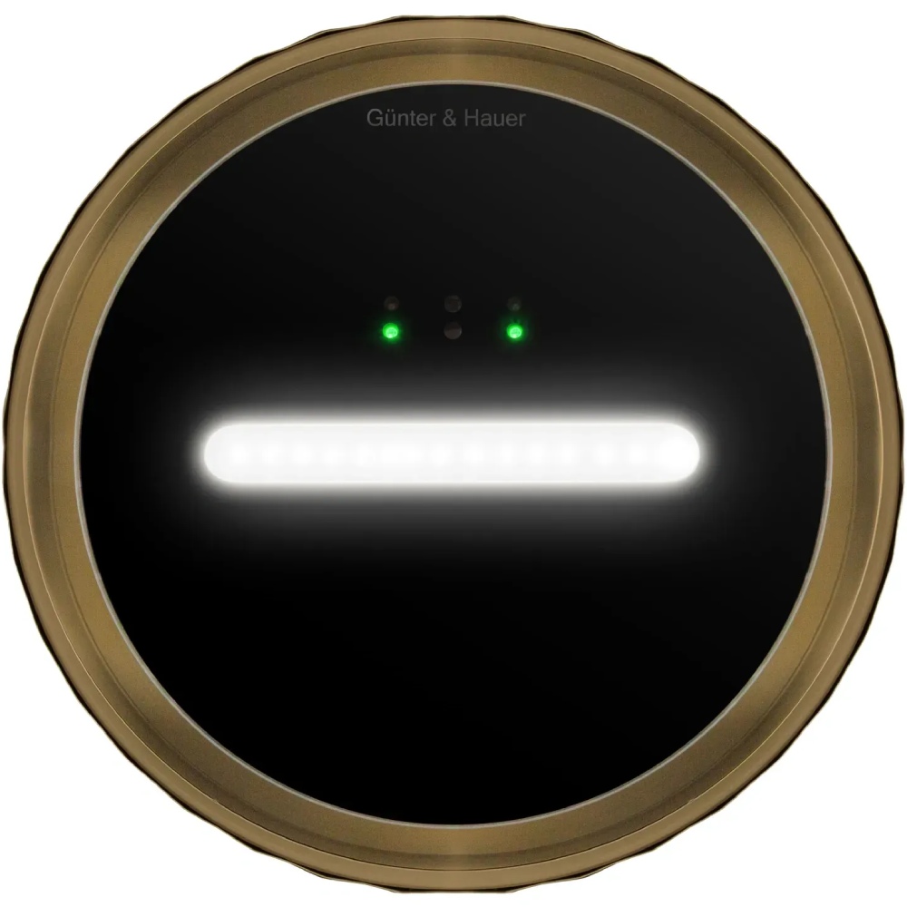 Обзор Вытяжка GUNTER & HAUER MARGARETTE 3D WALL SD