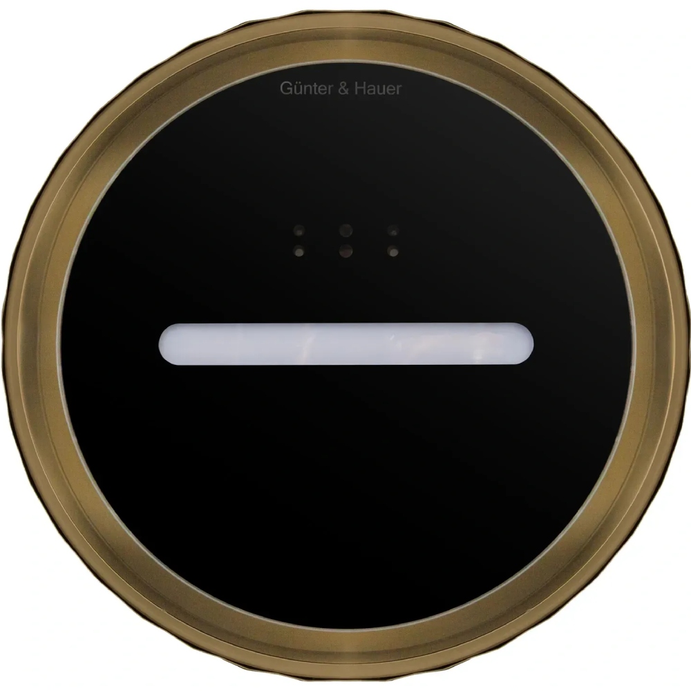 Изображение Вытяжка GUNTER & HAUER MARGARETTE 3D WALL SD