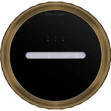 Вытяжка GUNTER & HAUER MARGARETTE 3D WALL SD