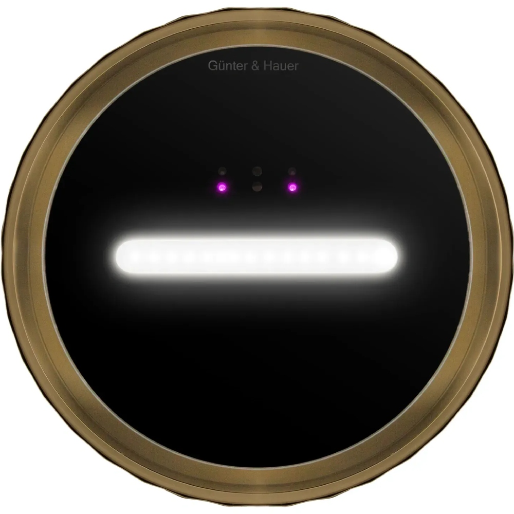 В Фокстрот Вытяжка GUNTER & HAUER MARGARETTE 3D WALL SD