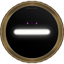 Вытяжка GUNTER & HAUER MARGARETTE 3D WALL SD