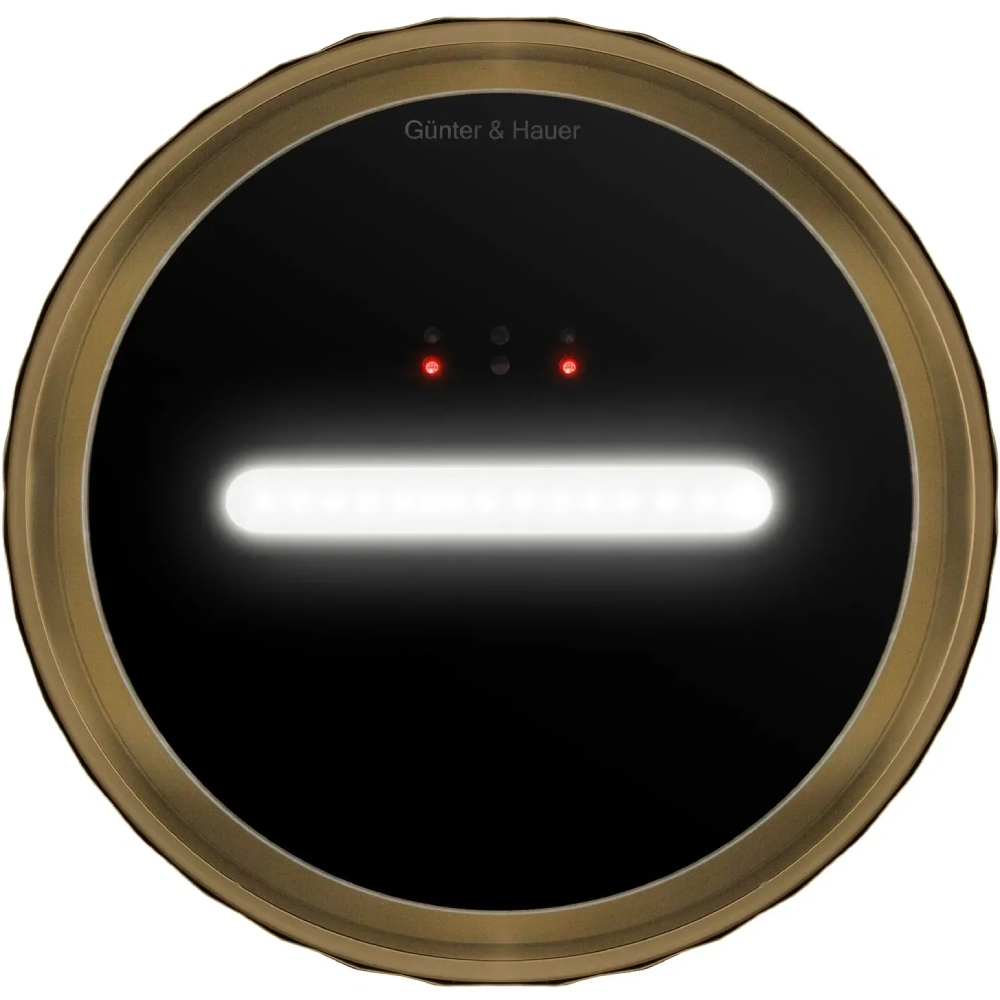 В Украине Вытяжка GUNTER & HAUER MARGARETTE 3D WALL SD