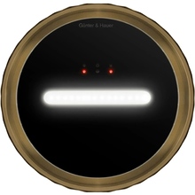 Вытяжка GUNTER & HAUER MARGARETTE 3D WALL SD