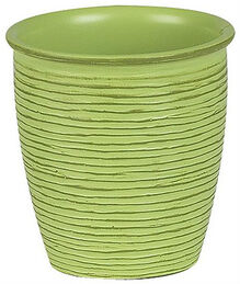 Стакан SPIRELLA DARWIN зелений (10.10525)