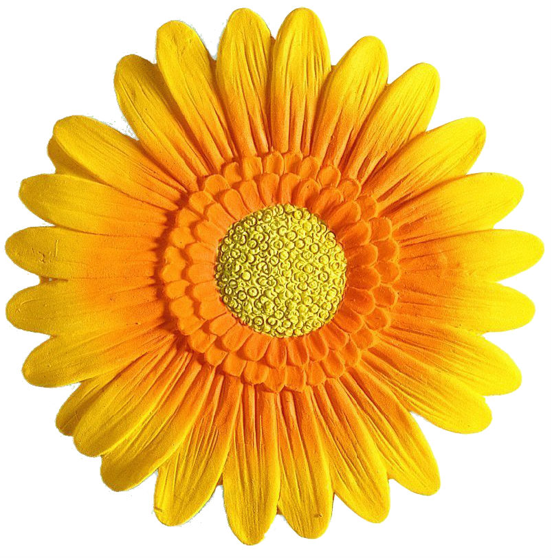

Декор SPIRELLA Gerbera (10.42989), Декор Gerbera полірезин оранж 2 шт.
