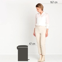 Бак для сміття BRABANTIA newIcon 20л 111907