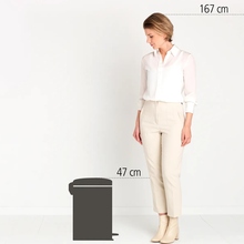 Бак для сміття BRABANTIA newIcon 20л 111846
