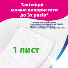 Паперові рушники ZEWA Wisch&Weg Extra Lang Original 2-шарові 2 шт (7322540833300/7322540973174)