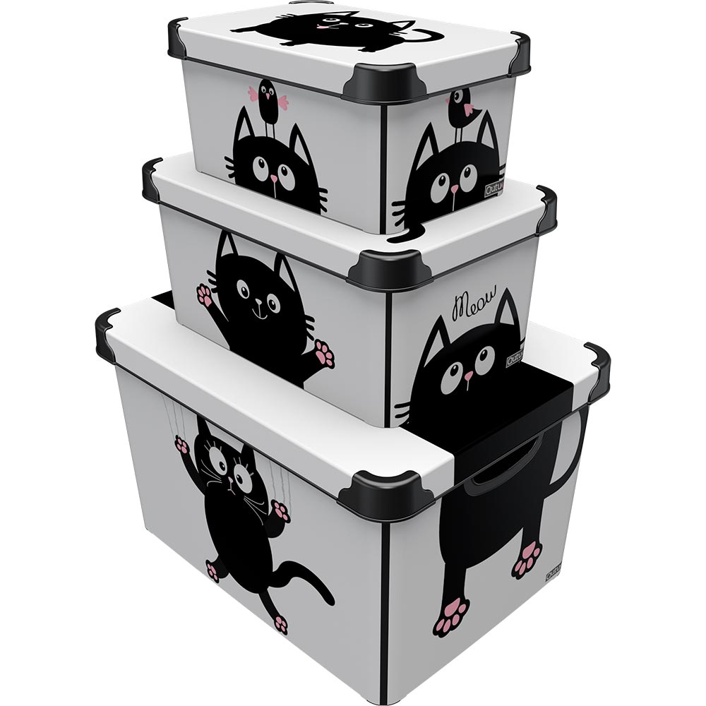 Контейнер для зберігання QUTU STYLE BOX із кришкою MEOW BLACK 5 л Тип органайзер