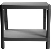 Этажерка VIOLET HOUSE 6032 Olympic 2 полки Grey (8690070407087)