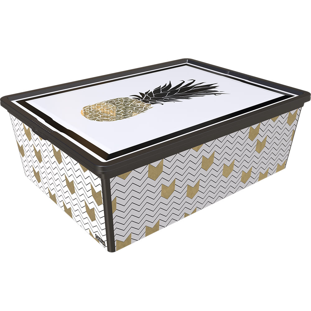 Контейнер для хранения QUTU Trend Box Pineapple Life 25л ()