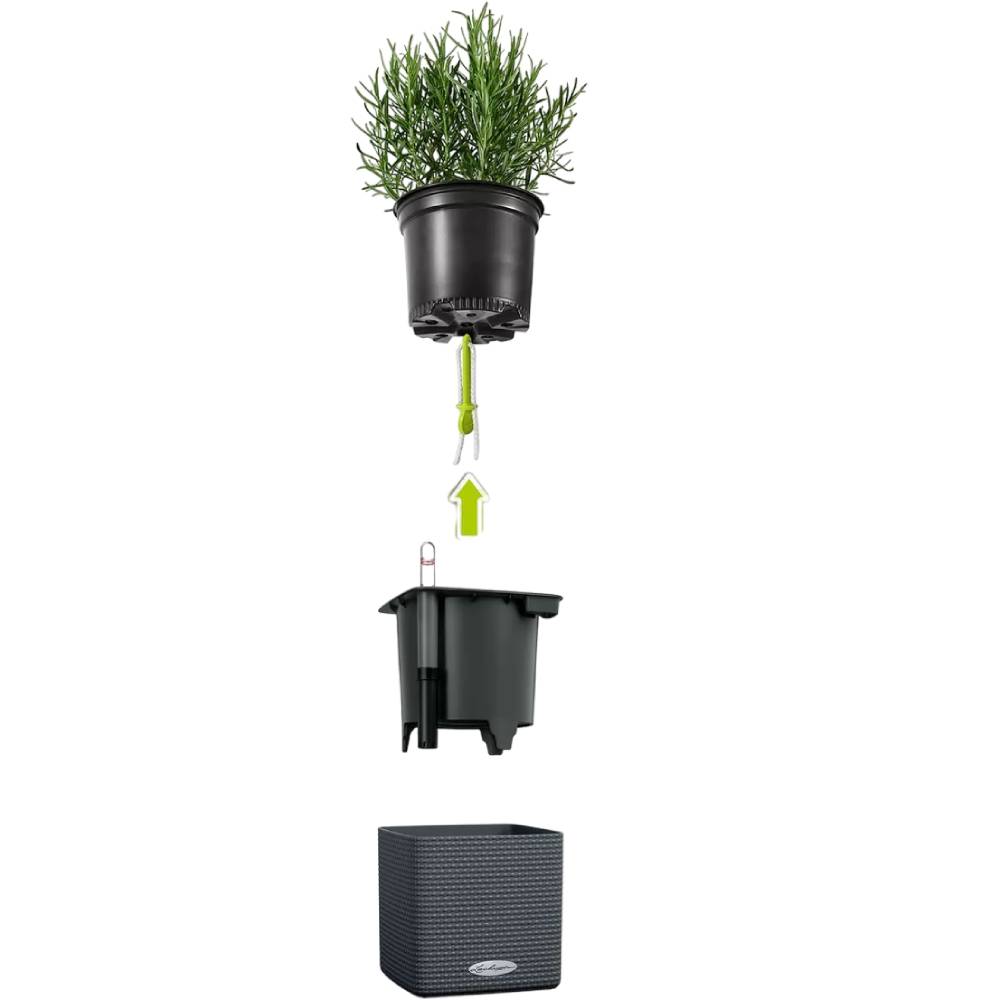 Комплект вазонів LECHUZA Green Wall Home Kit Color Білий (13398 Матеріал пластик