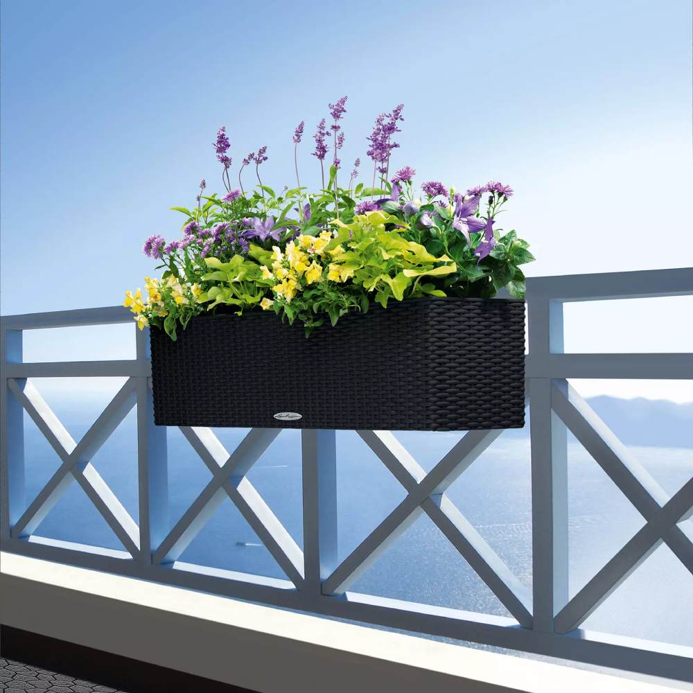 Внешний вид Вазон LECHUZA BALCONERA Cottage 80 Graphite Black (15619)