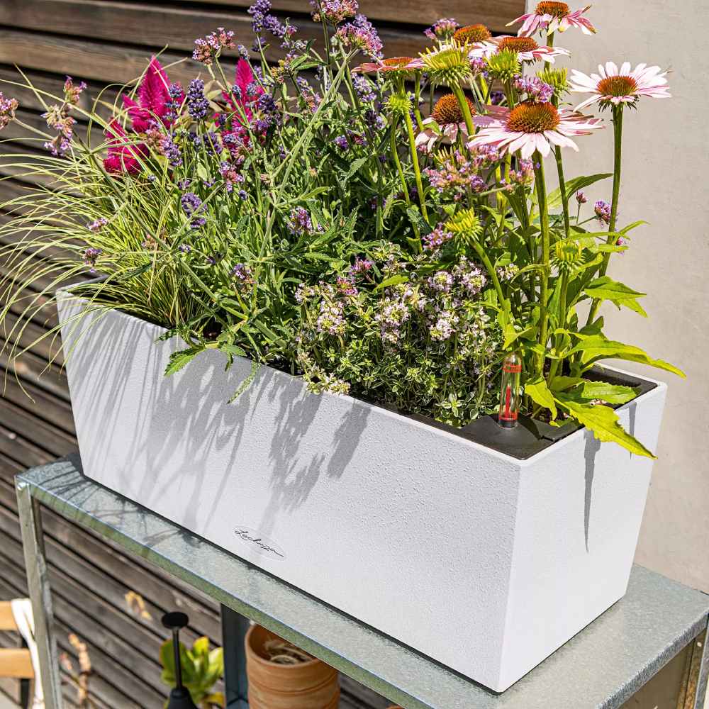 Вазон LECHUZA BALCONERA Stone 50 Quartz White (15657) Размеры 50 х 19 х 19