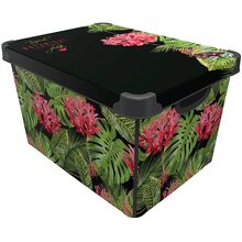 Контейнер QUTU Style Box Botanic 20л