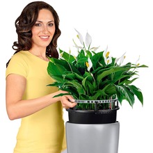 Вазон LECHUZA RONDO 40 Black matte (4008789157454)