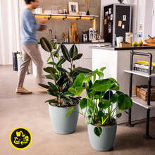 Вазон LECHUZA CLASSICO Color ECO 60 Grey (4008789189530)