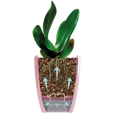 Вазон SANTINO Orchidea Twin 1,3 л White (2008701)