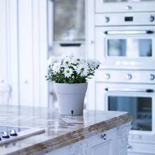 Вазон SANTINO Dali 5 л White/Black (2022547)