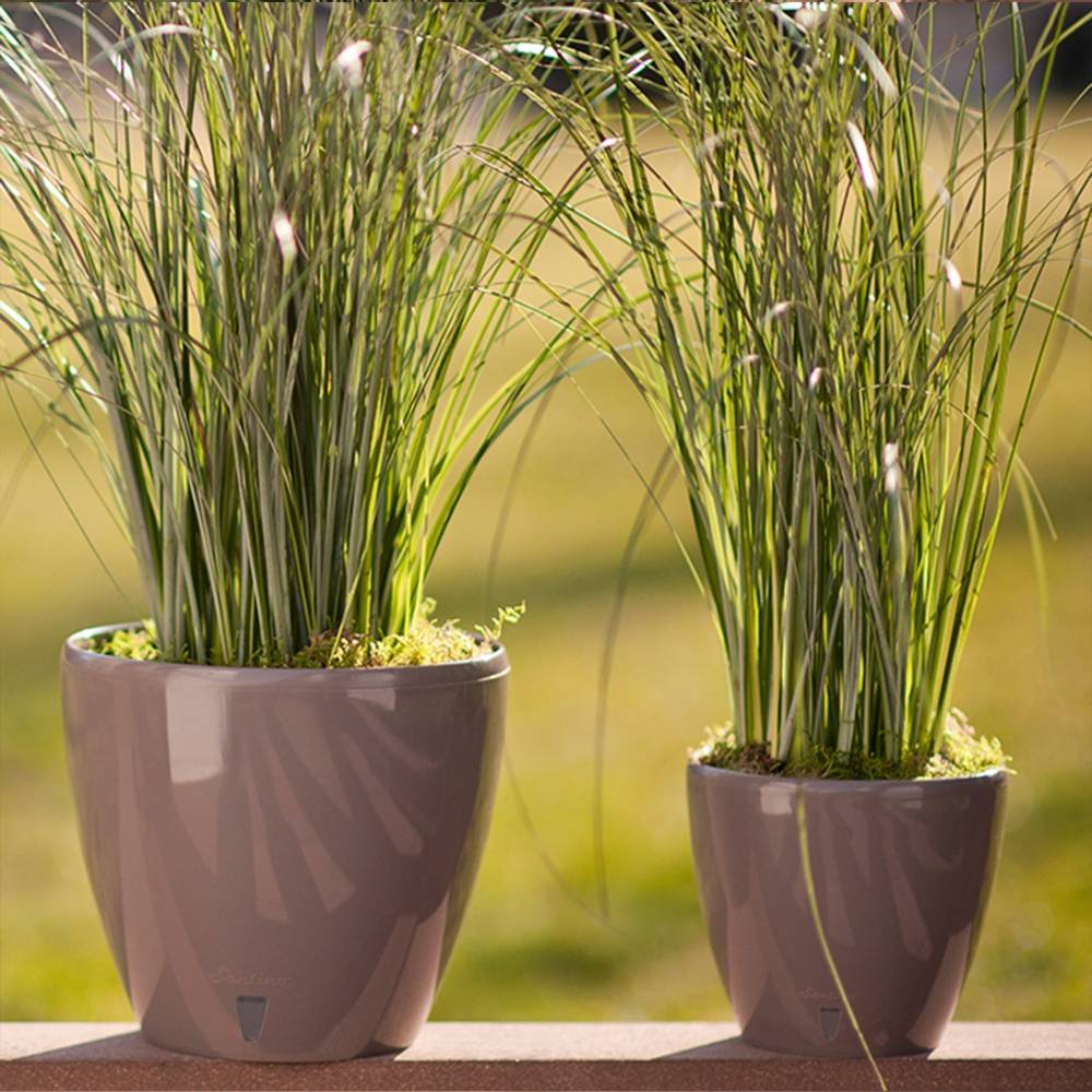 Заказать Вазон SANTINO Deco Twin 4 л White (2009395)