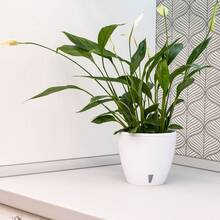 Вазон SANTINO Deco Twin 5,8 л White (2009081)