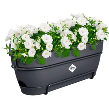 Вазон ELHO Vibia Campana 50 см Anthracite (522230)