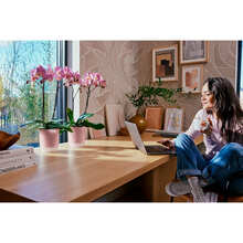 Вазон ELHO Vibes Fold Orchid High 13 см Pink (527693)