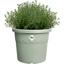 Вазон ELHO Algarve Cilindro 25 см Olive (528942)