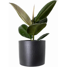 Кашпо EDELMAN Era 13.5 см Чорний матовий (1051637)