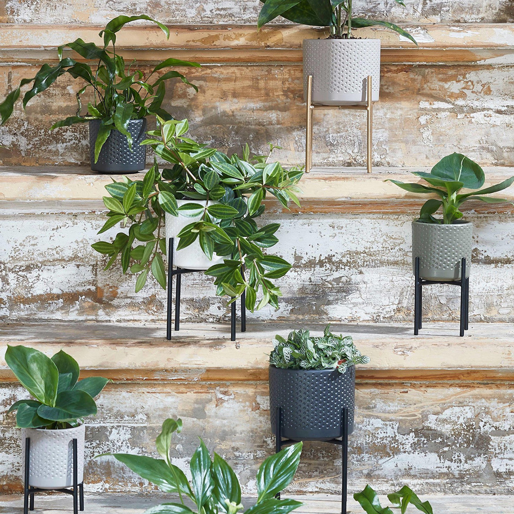 Фото 4 Кашпо EDELMAN Era 13.5 см Чорний матовий (1051637)